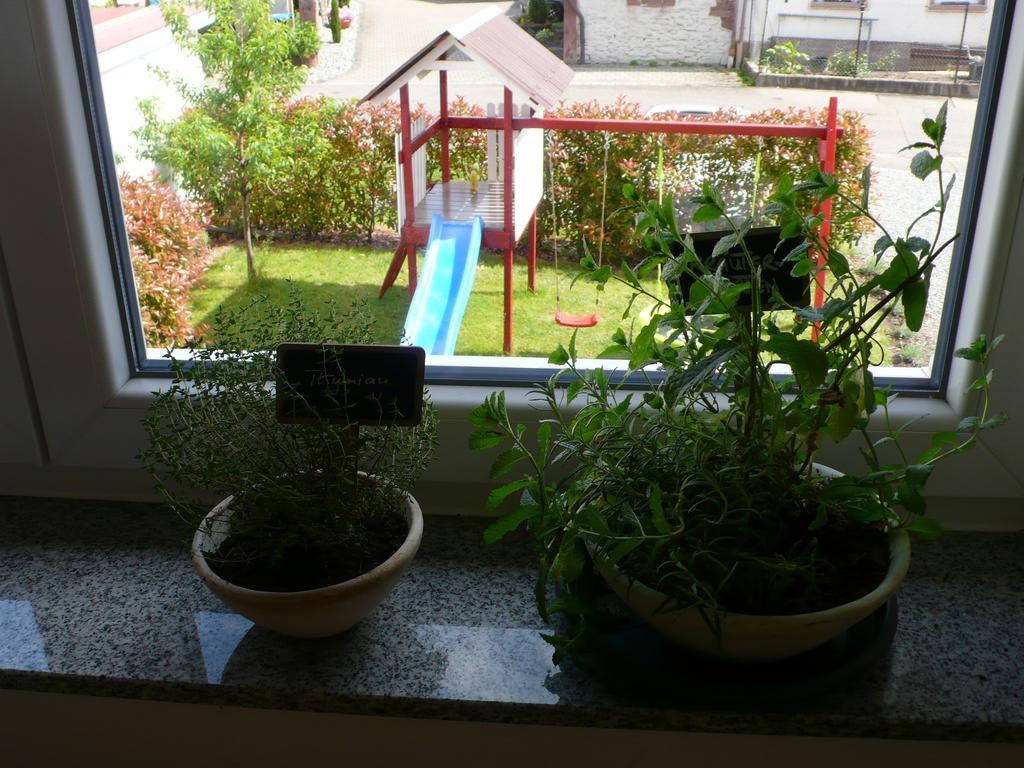 Ferienwohnung Sonnenschein Rheinhausen Ngoại thất bức ảnh